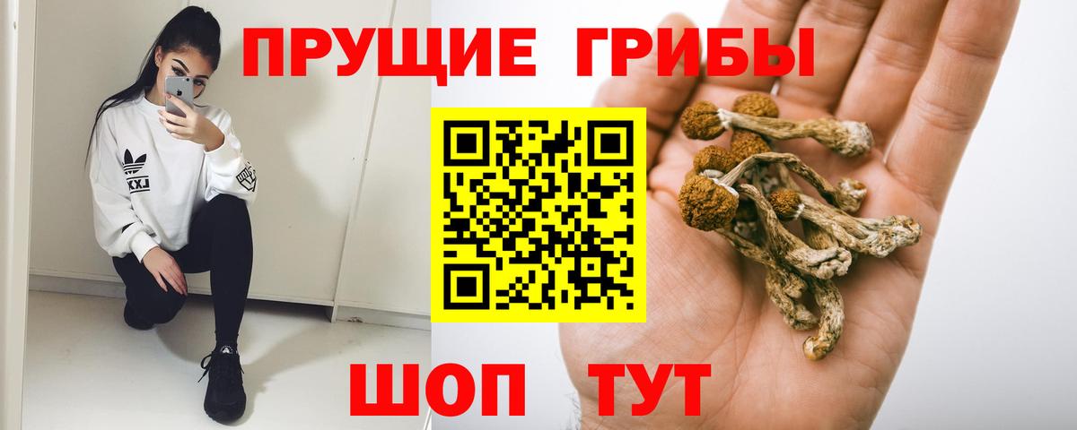 Псилоцибиновые грибы GOLDEN TEACHER Алексин